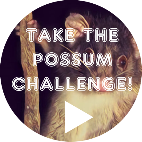 TAKE THE POSSUM CHALLENGE!