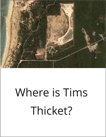 Where is Tims Thicket?