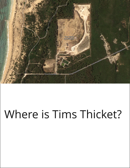 Where is Tims Thicket?